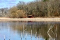 Reflective lake, marshland with grasses, reeds and trees in background. Blue sky with clouds overhead.