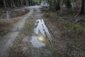 Reflective puddle along the rural pathway