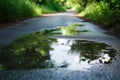 reflective puddles on path after rain, with softfocus vegetation beyond Royalty Free Stock Photo