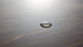 The reflective quality of the droplet captures light creating a shiny appearance Royalty Free Stock Photo
