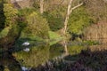 Reflective river pond with swan.