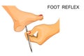 Reflexes of the foot. neuroscience Royalty Free Stock Photo
