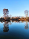 Reflexion wasser Baum Tiere Herten Schlosspark Kreis Recklinghausen Royalty Free Stock Photo