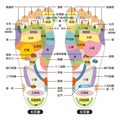 Reflexology foot massage points reflexology zones, massage signs and colored points Royalty Free Stock Photo