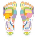 Reflexology foot massage points reflexology zones, massage signs and colored points Royalty Free Stock Photo