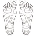 Reflexology foot massage points reflexology zones, massage signs and colored points