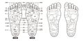 Reflexology foot massage points reflexology zones, massage signs and colored points Royalty Free Stock Photo