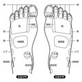 Reflexology foot massage points reflexology zones, massage signs and colored points Royalty Free Stock Photo