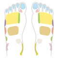 Reflexology foot massage points reflexology zones, massage signs and colored points Royalty Free Stock Photo