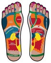 Reflexology foot plant