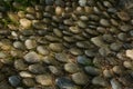 Reflexology massage area or a place provided by the advice for visitors to the lake park. Massage your feet by stepping