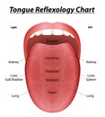 Reflexology Tongue Royalty Free Stock Photo