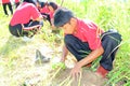 Reforestation activities
