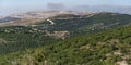 Reforestation on the Israel Lebanon Border Royalty Free Stock Photo