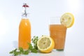 Refreschment with juice beverage and ice Royalty Free Stock Photo