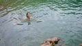 Refreshed girl swimming fjord water. Satisfied happy woman touching brown rock