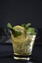 Refreshing alcoholic drink with berries, ice vodka and gin, lemon peel served in glass cup on the counter on blurred background Royalty Free Stock Photo