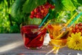 Refreshing Apple and Cherry Juice Royalty Free Stock Photo