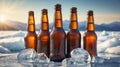 Refreshing beer bottles cooling on ice in a sunny winter scene Royalty Free Stock Photo