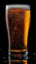 Refreshing beer with bubbles in a tall, clear glass under softbox lighting for a classic look. Royalty Free Stock Photo