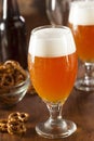 Refreshing Belgian Amber Ale Beer Royalty Free Stock Photo