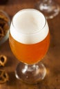 Refreshing Belgian Amber Ale Beer Royalty Free Stock Photo