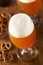 Refreshing Belgian Amber Ale Beer Royalty Free Stock Photo