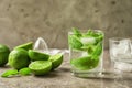 Refreshing beverage with mint and lime in glass Royalty Free Stock Photo