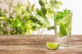 Refreshing beverage with mint and lime Royalty Free Stock Photo