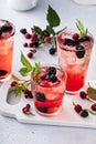 Refreshing blackberry cocktail with fresh sprig of rosemary