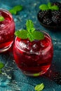 Refreshing Blackberry cocktail with ice and mint on rustic background