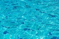 refreshing blue swimming pool water as a background.