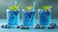 Refreshing blueberry drinks with mint Royalty Free Stock Photo