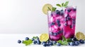 Refreshing Blueberry Lemonade with Mint Royalty Free Stock Photo