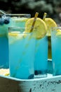 Refreshing Blueberry Lemonade Summer Drinks