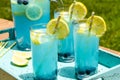 Refreshing Blueberry Lemonade Summer Drinks