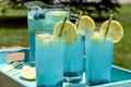 Refreshing Blueberry Lemonade Summer Drinks