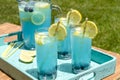 Refreshing Blueberry Lemonade Summer Drinks