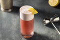 Refreshing Boozy Chicago Fizz Cocktail