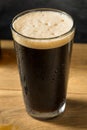 Refreshing Boozy Dark Stout Beer Royalty Free Stock Photo