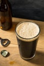 Refreshing Boozy Dark Stout Beer Royalty Free Stock Photo