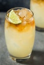 Refreshing Boozy Rum Dark and Stormy Cocktail