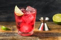 Refreshing Boozy Vodka Cranberry Cocktail