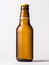Refreshing bottle of cold beer Royalty Free Stock Photo