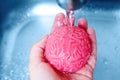 Refreshing Brain: Brain Model Cleansed in Sink Royalty Free Stock Photo