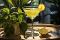 Refreshing Citrus Cocktail on a Sunny Patio with Greenery
