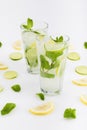 Refreshing citrus lemonades with mint leaves