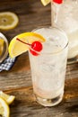 Refreshing Classic Tom Collins Cocktail Royalty Free Stock Photo