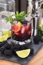 Refreshing cocktail Blackberry mojito