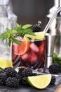 Refreshing cocktail Blackberry mojito